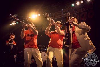 THE HORNY HORNY HORNS - die Hornsection für Shows, Band-Support, Studio und Events aller Art