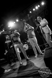 THE HORNY HORNY HORNS - die Hornsection für Shows, Band-Support, Studio und Events aller Art