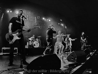 THE HORNY HORNY HORNS - die Hornsection für Shows, Band-Support, Studio und Events aller Art