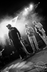 THE HORNY HORNY HORNS - die Hornsection für Shows, Band-Support, Studio und Events aller Art